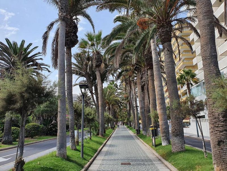Apartamento Apartamento recién renovado, con parking Puerto de la Cruz  Exterior foto